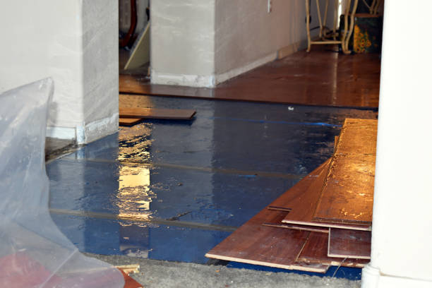 Professional Water Damage Restoration technician working in Roscoe, TX